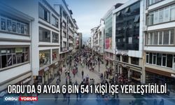 Ordu’da 9 ayda 6 bin 541 kişi işe yerleştirildi