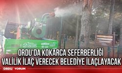 Ordu'da kokarca seferberliği valilik ilaç verecek belediye ilaçlayacak