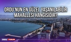 Ordu'nun en güzel yaşanılabilir mahallesi hangisidir?