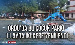 Ordu’da bu çocuk parkı 11 ayda iki kere yenilendi