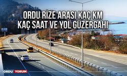 Ordu Rize arası kaç km kaç saat ve yol güzergahı