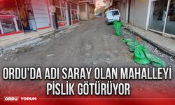 Ordu’da adı saray olan mahalleyi pislik götürüyor