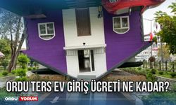 Ordu Ters Ev Giriş Ücreti Ne Kadar?