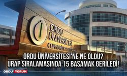 Ordu Üniversitesi'ne ne oldu? URAP sıralamasında 15 basamak geriledi!