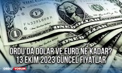 Ordu'da Dolar ve Euro ne kadar? 13 Ekim 2023 güncel fiyatlar 