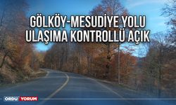 Gölköy-Mesudiye yolu ulaşıma kontrollü açık