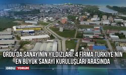 Ordu'da sanayinin yıldızları: 4 firma Türkiye'nin en büyük sanayi kuruluşları arasında