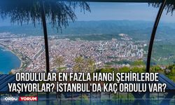 Ordulular en fazla hangi şehirlerde yaşıyorlar? İstanbul'da Kaç Ordulu Var?