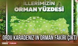 Ordu Karadeniz’in orman fakiri çıktı