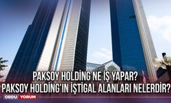 Paksoy Holding ne iş yapar? Paksoy Holding'in iştigal alanları nelerdir?