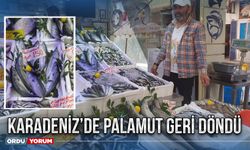 Karadeniz’de palamut geri döndü