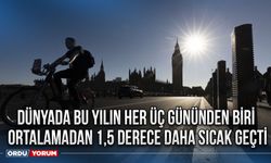 Dünyada bu yılın her üç gününden biri, ortalamadan 1,5 derece daha sıcak geçti