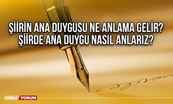 Şiirin ana duygusu ne anlama gelir? Şiirde ana duygu nasıl anlarız?