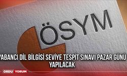 Yabancı Dil Bilgisi Seviye Tespit Sınavı pazar günü yapılacak