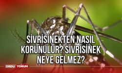 Sivrisinekten nasıl korunulur? Sivrisinek neye gelmez?