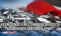 Kasım ayında yenilecek balıklar listesi! Kasım ayında hangi balık yenir?