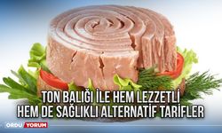 Ton balığı ile hem lezzetli hem de sağlıklı alternatif tarifler