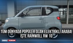 Tüm dünyada popüler olan elektrikli araba! İşte Rainwoll RW 10