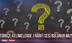 Türkçe kelimelerde J harfi sesi bulunur mu?