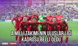 A Milli Takımı'nın Uluslar Ligi Kadrosu Belli Oldu