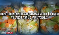 Turşu bidonuna iki avuç koymak yeterli oluyor ! Yıllardır yanlış yapılıyormuş