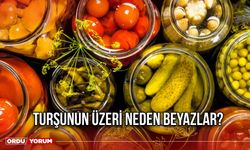 Turşunun üzeri neden neden beyazlar?