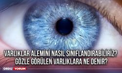 Varlıklar alemini nasıl sınıflandırabiliriz? Gözle görülen varlıklara ne denir?