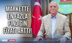 Markette en fazla fındığın fiyatı arttı!