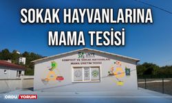 Sokak hayvanlarına mama tesisi