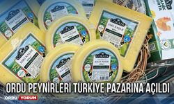 Ordu peynirleri Türkiye pazarına açıldı