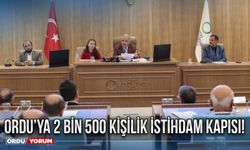 Ordu’ya 2 bin 500 kişilik istihdam kapısı!