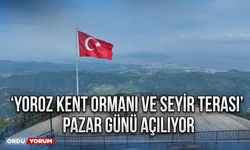 ‘Yoroz Kent Ormanı ve Seyir Terası’ pazar günü açılıyor