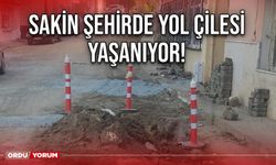 Sakin şehirde yol çilesi yaşanıyor!