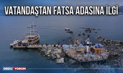 Vatandaştan Fatsa Adasına ilgi