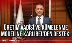 Üretim vadisi ve kümelenme  modeline Karlıbel’den destek!