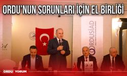 Ordu’nun sorunları için el birliği