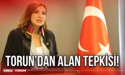 Torun’dan 'alan' tepkisi!