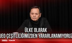 Ülke olarak jeoçeşitliliğimizden yararlanamıyoruz