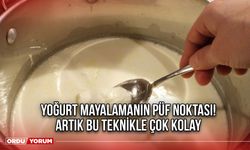 Yoğurt mayalamanın püf noktası! Artık bu teknikle çok kolay