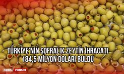 Türkiye'nin sofralık zeytin ihracatı 184,5 milyon doları buldu