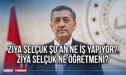 Ziya Selçuk şu an ne iş yapıyor? Ziya Selçuk ne öğretmeni?