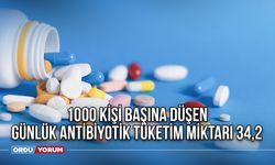 1000 kişi başına düşen günlük antibiyotik tüketim miktarı 34,2