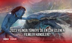 2023 yılında Türkiye'de en çok izlenen filmler hangileri?