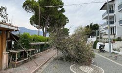 Meteorolojinin fırtına uyarısı üzerine yük gemileri Sinop'un doğal limanına demirledi