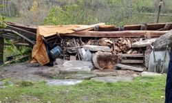 Sinop'ta şiddetli rüzgarda çöken ambarın altında kalan kadın öldü