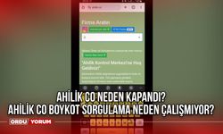 Ahilik co neden kapandı? Ahilik co boykot sorgulama neden çalışmıyor?