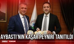 Aybastı’nın kaşar peyniri tanıtıldı