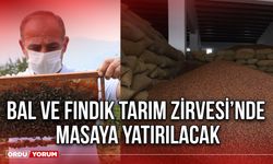 Bal ve Fındık Tarım Zirvesi’nde Masaya Yatırılacak