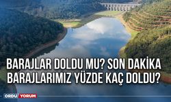 Barajlar doldu mu? Son Dakika Barajlarımız yüzde kaç doldu?