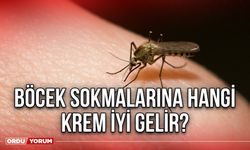 Böcek sokmalarına hangi krem iyi gelir?